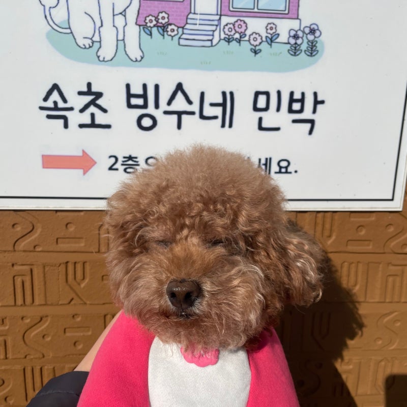 사진 4