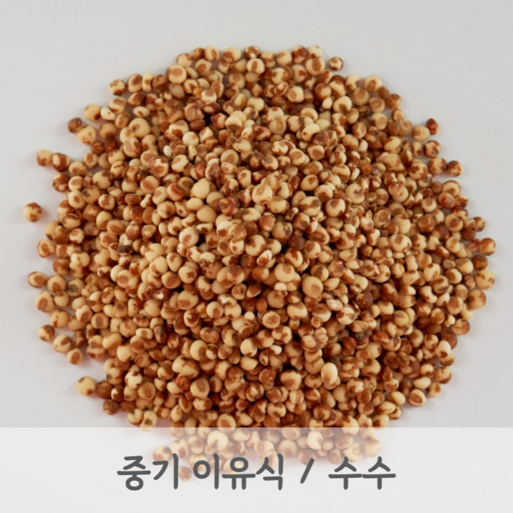 [중기이유식] 잡곡 베이스 수수 쌀죽 만드는 방법 (수수 알레르기, 잡곡 알레르기 테스트, 베이비무브)