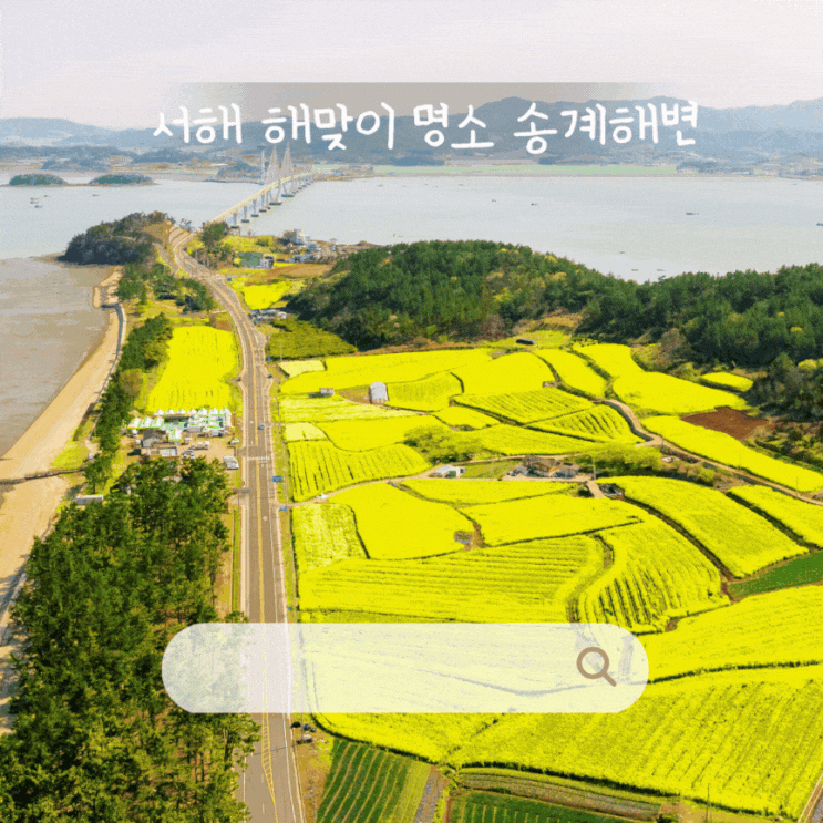 전남 무안 유채꽃 해맞이 명소 도리포 송계해변 봄축제