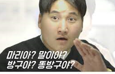  전세 월세 원룸 오피스텔 원상복구 관련 인테리어필름 시트지 공사 방법 FEAT. 반려동물 애완동물 개 강아지 고양이 파손 건 NO.609-2 수원 용인 안산 화성 동탄 광교 안양