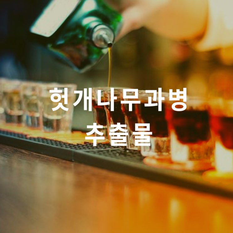  헛개나무 열매 추출물 분말 : 효능 효과; 편의점 숙취 해소 vs 건강기능식품