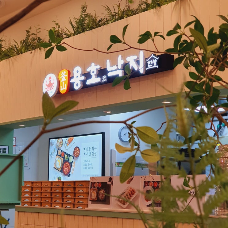  광교 이마트 푸드코트 미식가 용호낙지한상 홍대쌀국수