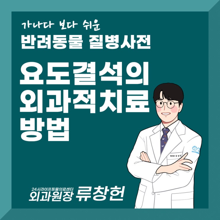 대구 강아지 요도결석 외과적 치료 방법 알아보기 요도결석 수술 후 관리 및 합병증