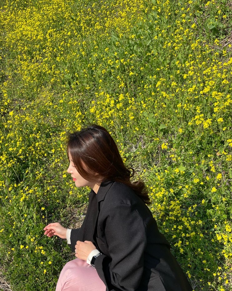 제주 서귀포 엉덩물계곡 유채꽃 봄여행