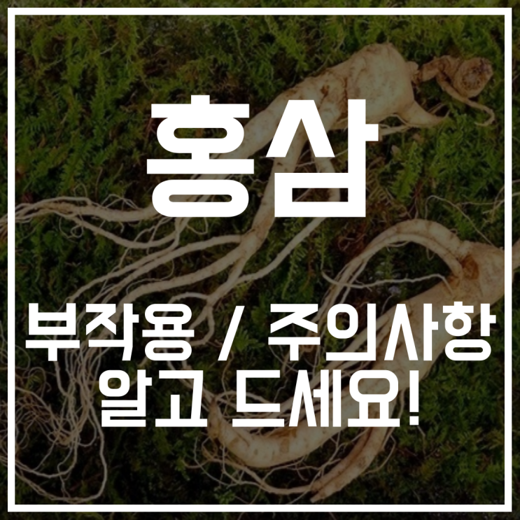  홍삼 부작용과 같이 못먹는것들