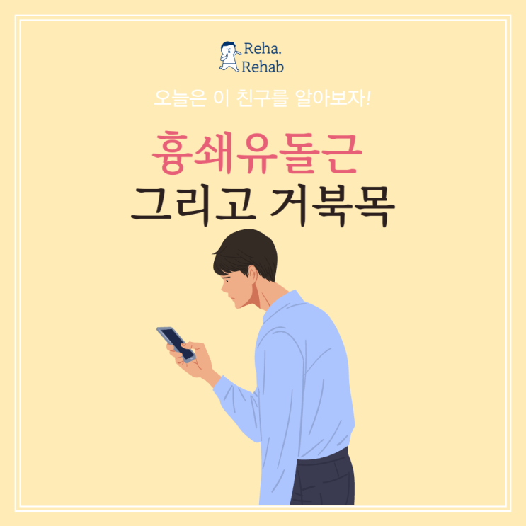  흉쇄유돌근의 문제로 거북목이 생길 수 있어요