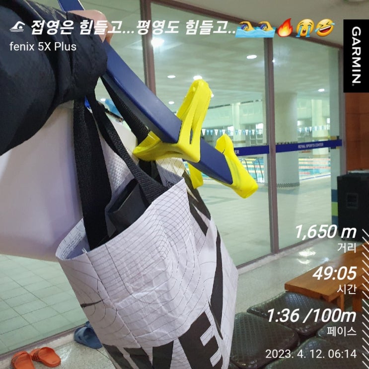  [수영일기] 4월 12일 평영 과연 무엇이 문제인가?