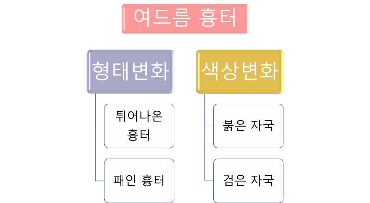  여드름 색소침착, 붉은기 - 패인 흉터와 구별하여 치료하기 (삼성동 피부과전문의 닥터림)