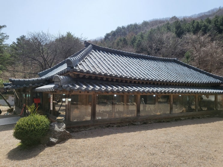 강원도 평창 송어회 맛집 운두령 솔직 후기! 강원도 평창 송어회 맛집 운두령 솔직 후기!
