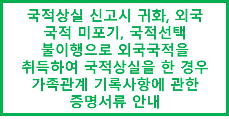 해외 국적 취득 시 국적 상실 신고는 선택이 아니라 필수입니다. 1