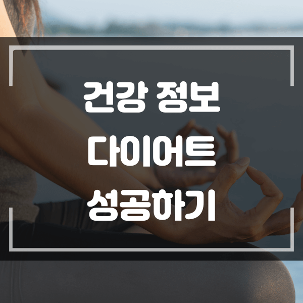  다이어트를 성공하고 싶은 사람에게 추천드립니다.