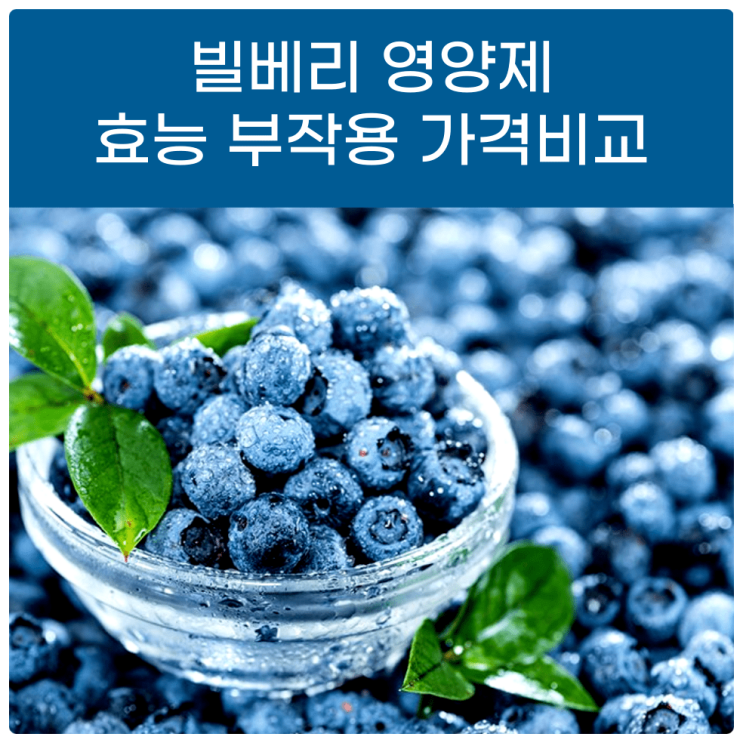  빌베리영양제 효능 부작용 가격비교