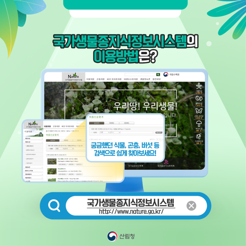 정보화 사업계획서(산림청) 샘플, 양식 다운로드 생물다양성> 이건 무슨 열매지? 국가생물종지식정보시스템에서 찾아보세요! : 네이버 블로그” style=”width:100%” title=”생물다양성> 이건 무슨 열매지? 국가생물종지식정보시스템에서 찾아보세요! : 네이버 블로그”><figcaption>생물다양성> 이건 무슨 열매지? 국가생물종지식정보시스템에서 찾아보세요! : 네이버 블로그</figcaption></figure>
<figure><img decoding=