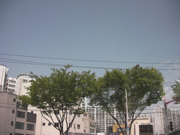  무작정 산요 작티 HD800들고 찍은 결과물(영상 및 사진)