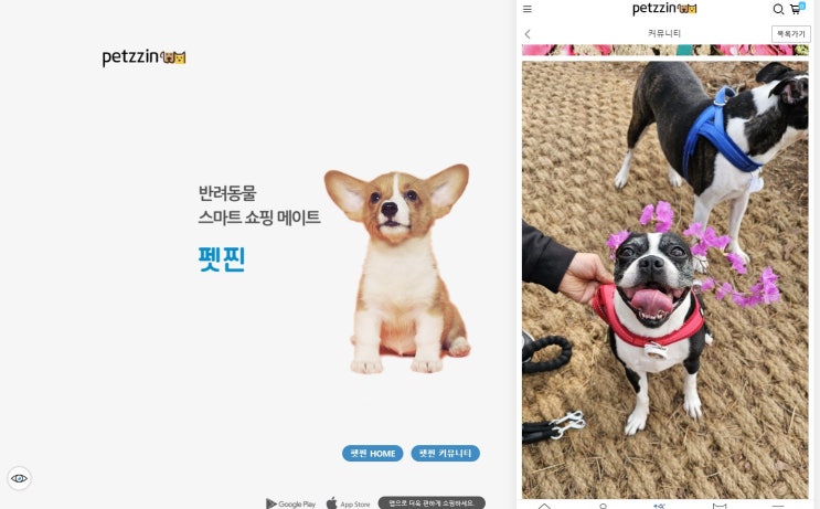  펫찐 반려동물 댕냥이사진대회 경품이벤트 참여방법