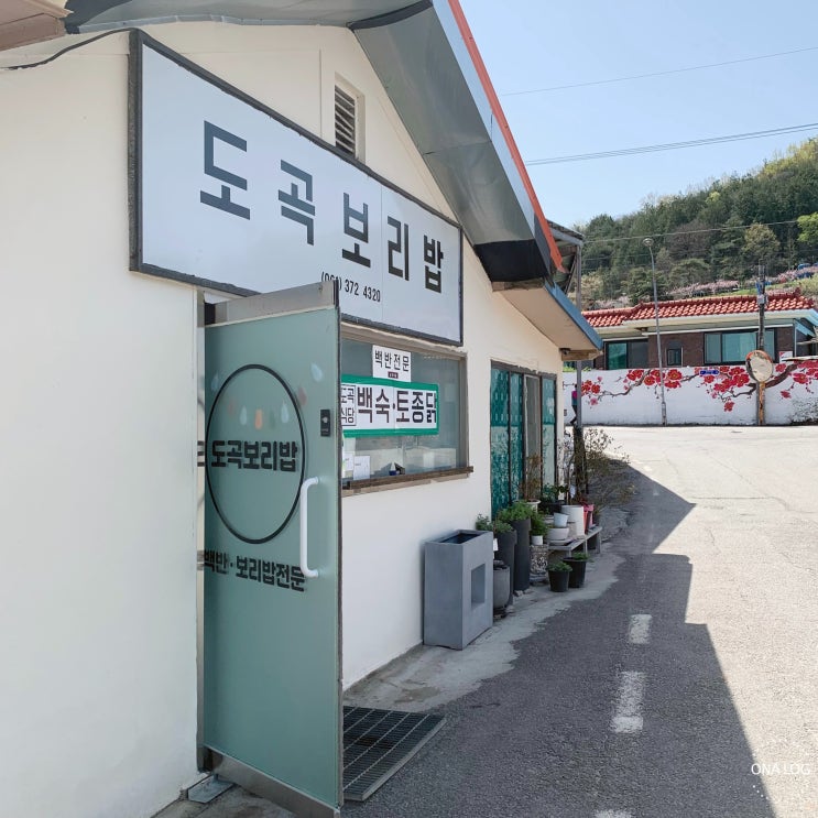  화순맛집 / 도곡면 - 도곡보리밥