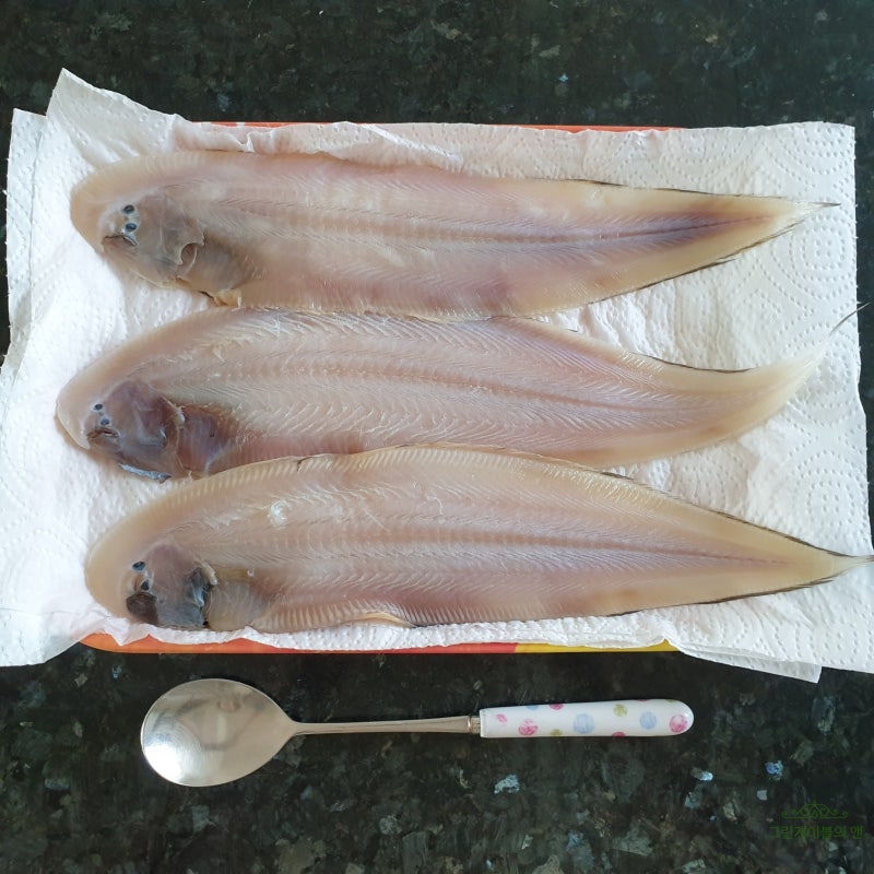 서대 구이, 서대와 박대 차이 : 네이버 블로그