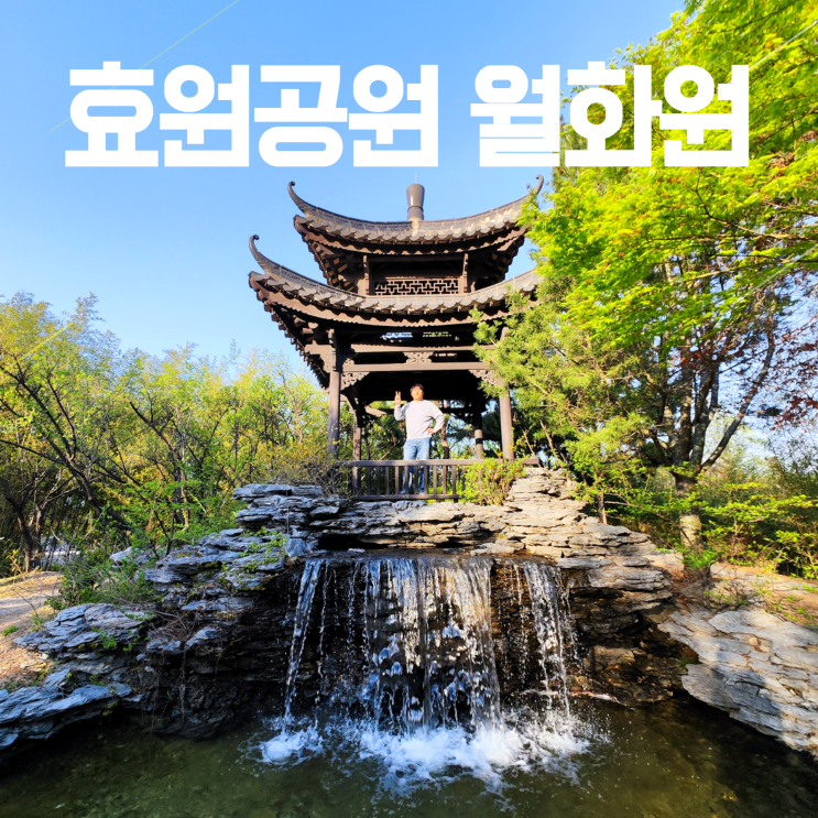 수원에 중국정원이? 효원공원 월화원 연못 폭포 (주차장)