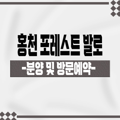  홍천 포레스트 발로 서핑 풀빌라 강원도 대곡리 하이엔드 리조트 BALO 분양가격 홍보관 관람 문의
