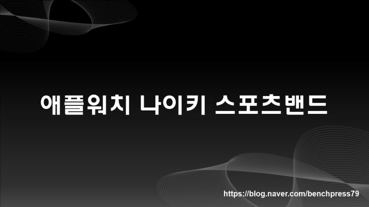  애플워치 나이키 스포츠밴드(안트라사이트 블랙)