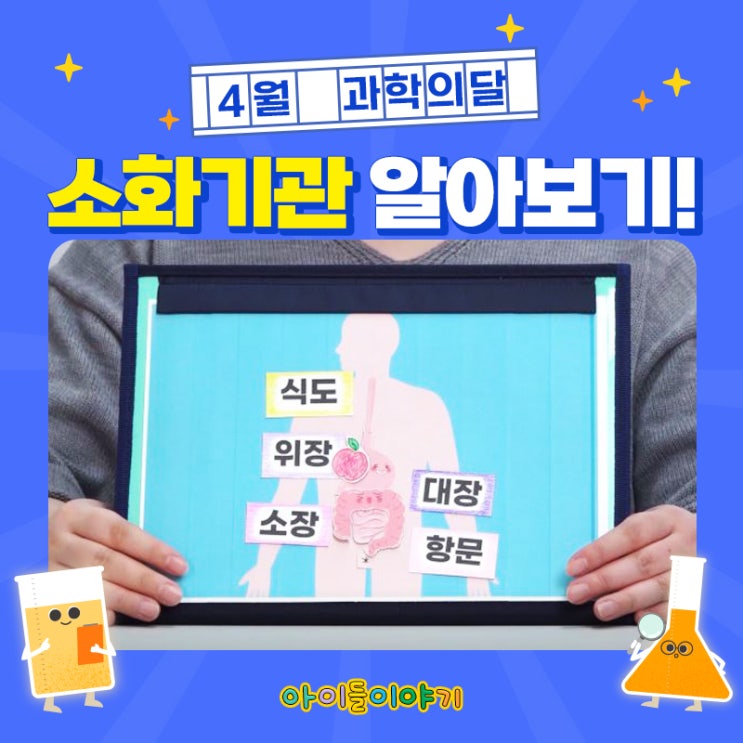  4월 과학의달 인체탐구 소화기관 알아보기!