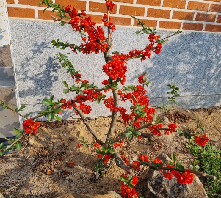  대충 설렁설렁 빨리 정확하게 살래