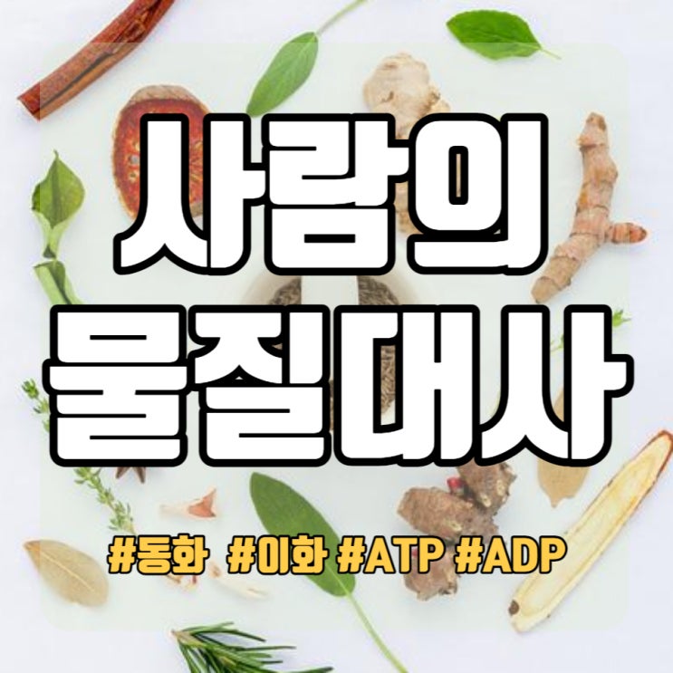  생명과학1 사람의 물질대사 동화작용과 이화작용 그리고 ATP 생성
