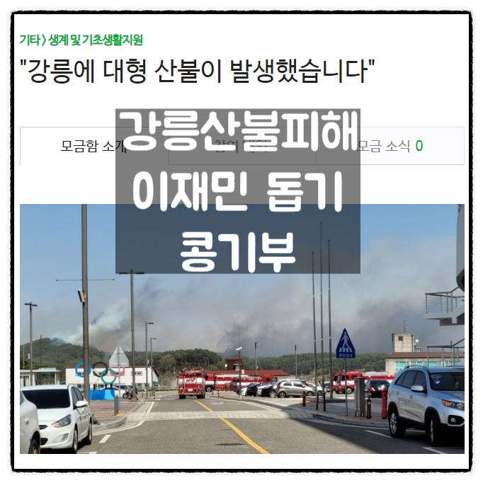  강릉산불 피해 이재민 급식지원 심리회복지원 콩기부