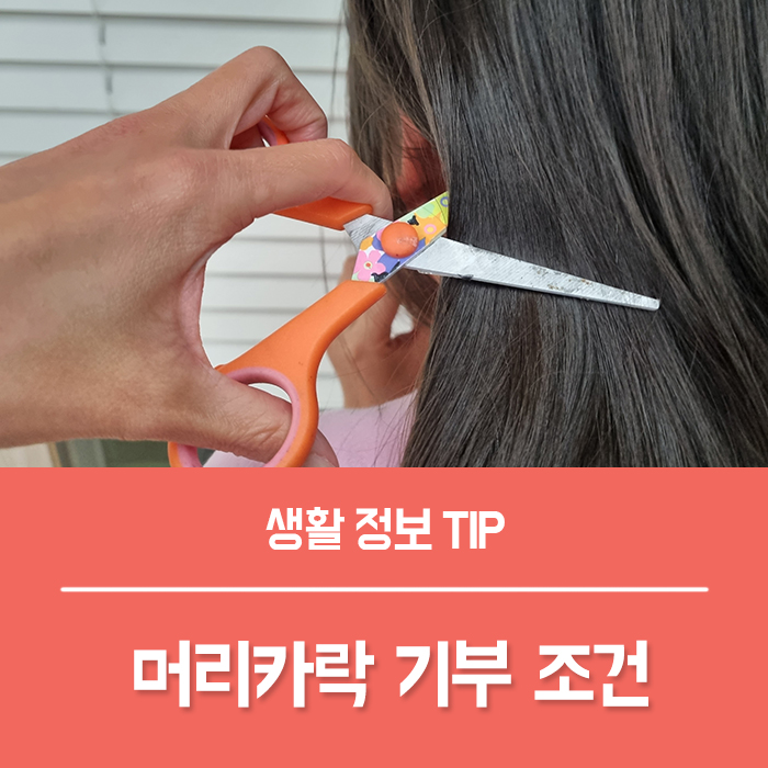  머리카락 기부 조건 길이는? 어머나 운동본부 배송 방법
