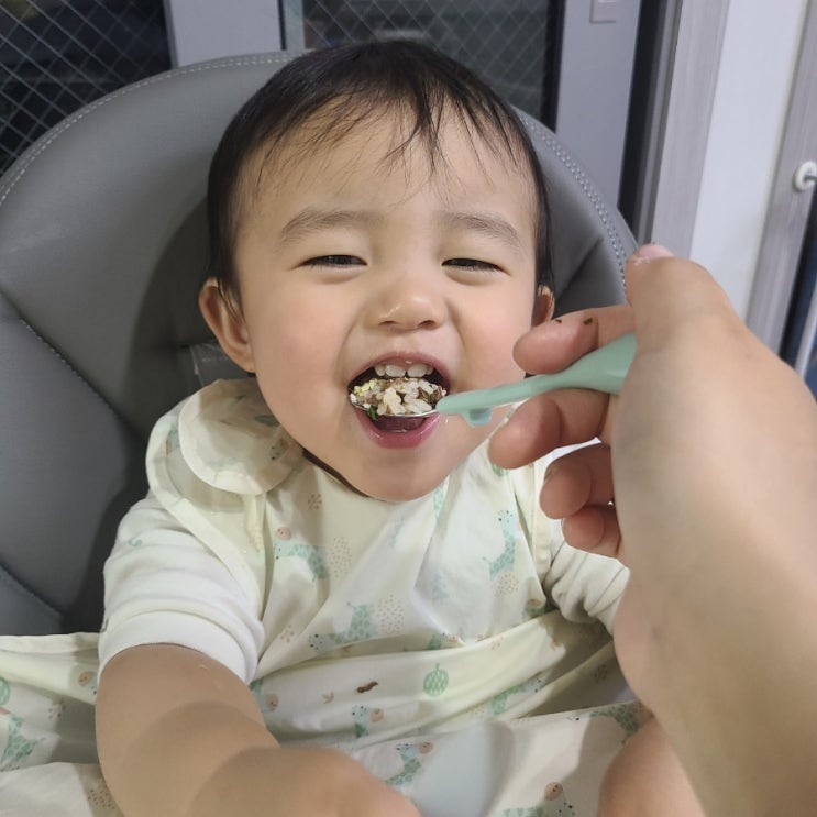  (2살 유아식) 소고기 깍두기 볶음밥