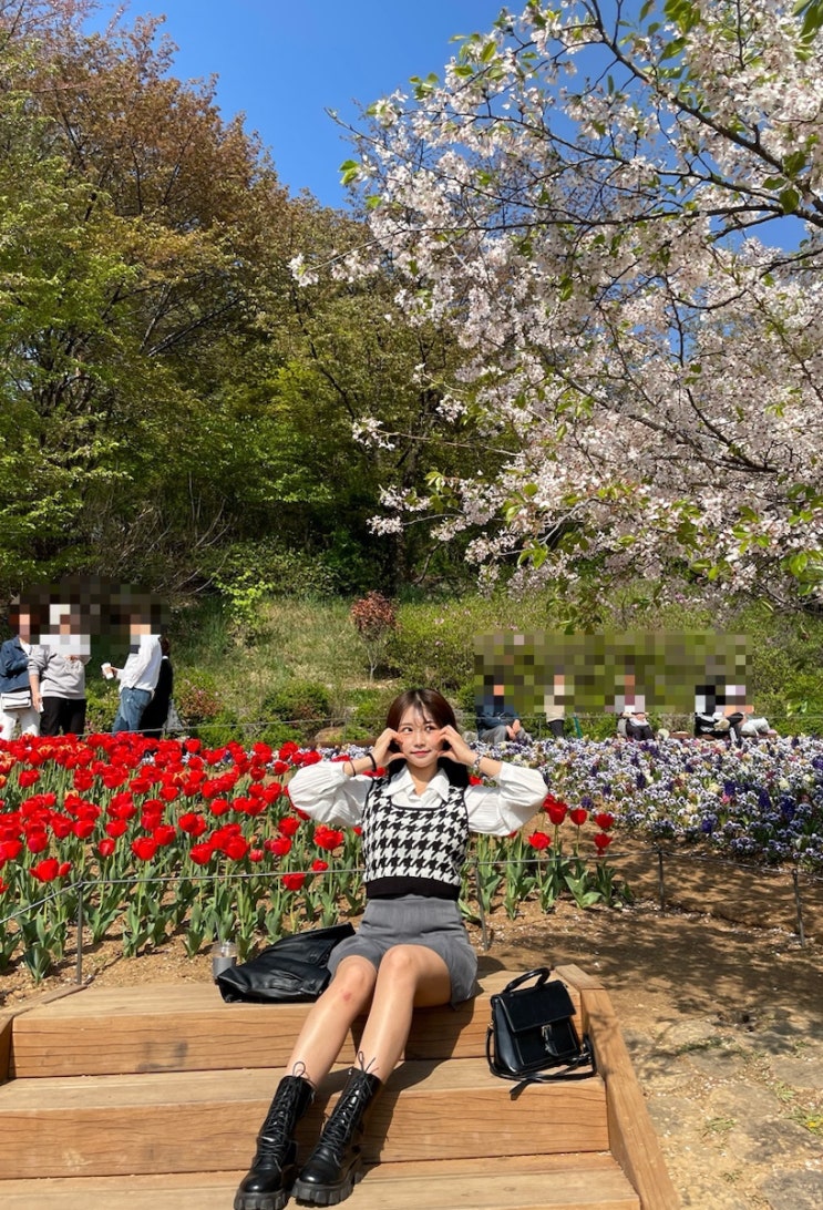  [서울 연희] 서울 데이트 코스 추천! 튤립 실컷볼 수 있는 곳 "연희숲속쉼터"(ft.2023 서대문 봄빛 축제)