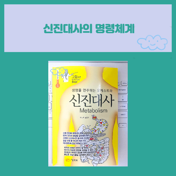  신진대사의 명령체계 미라클 나잇 1_3