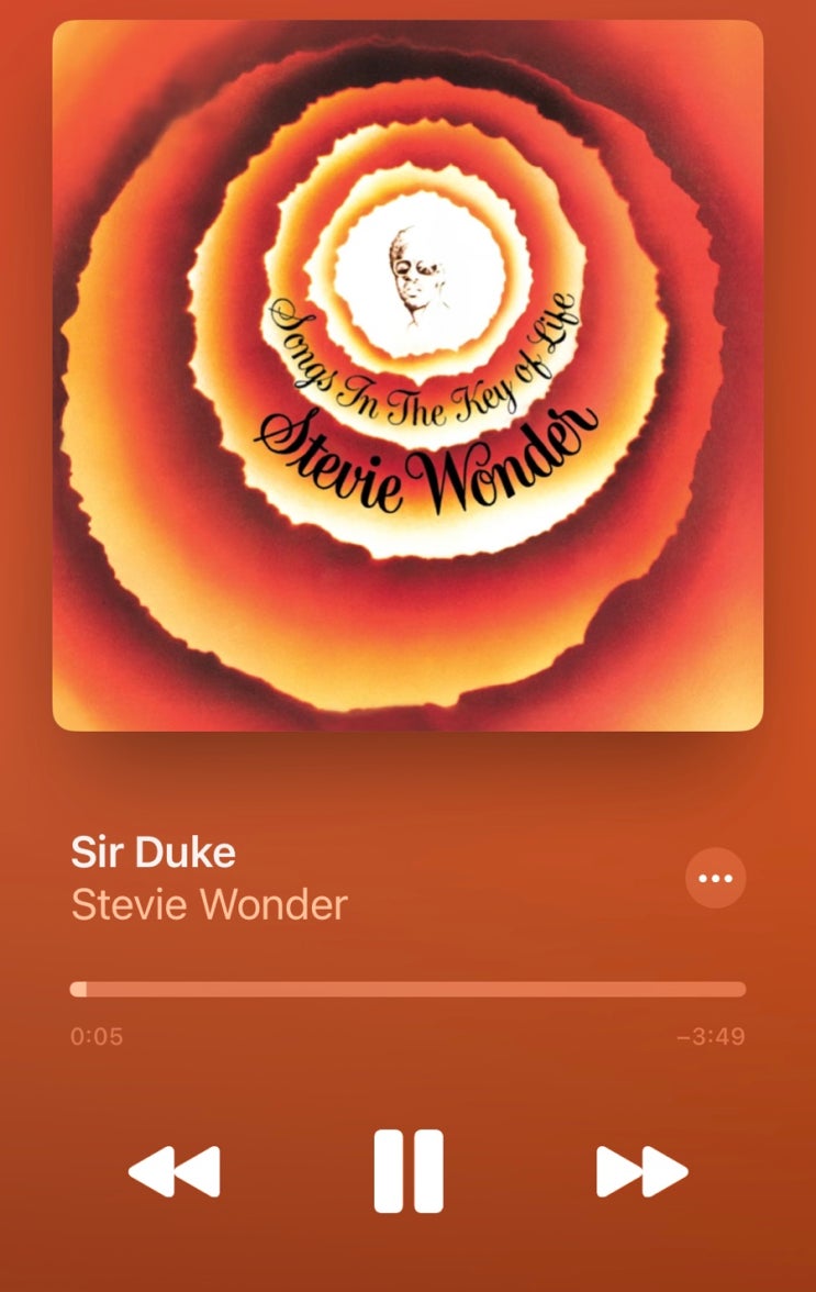  플레이리스트 / Sir duke,  스티비 원더