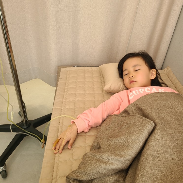  (6살, 2살 유아식) 장염에 좋은 황태, 계란, 두부를 이용해 유아식 만들기