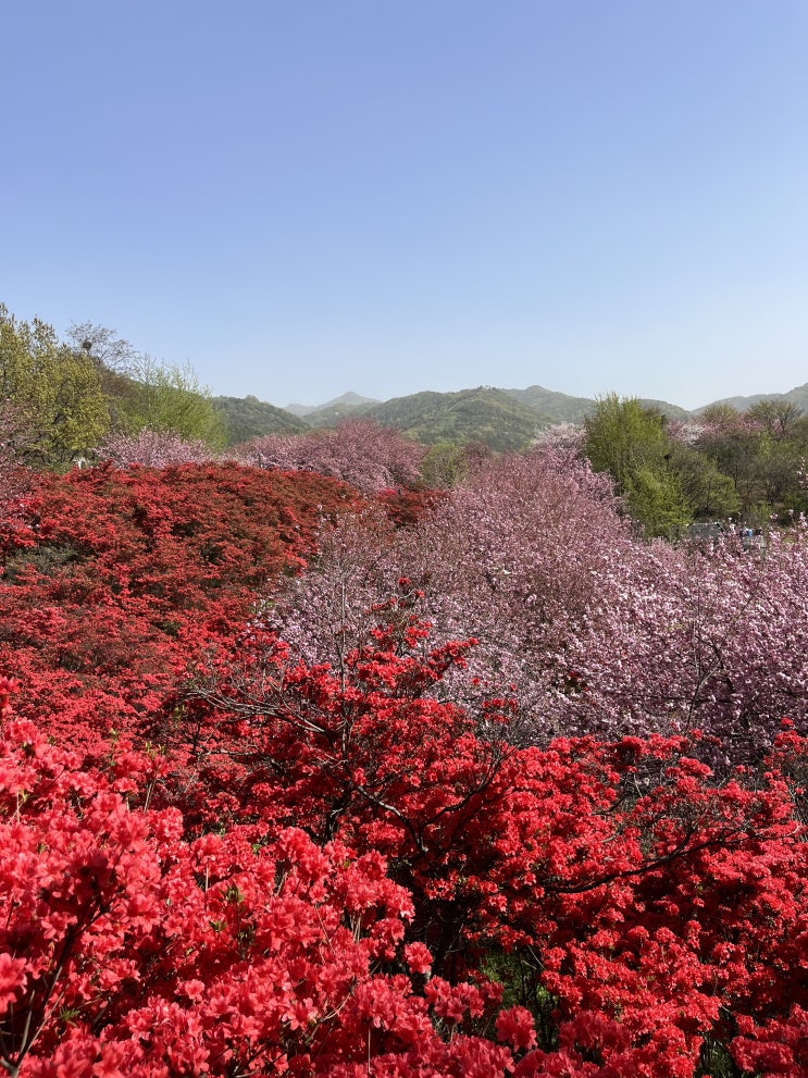 4월 둘째주, 전주 꽃동산 나들이, 함께 <b>추모</b>하고 기억하는... 