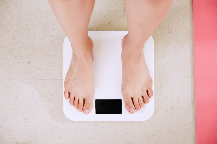  지금 있는 그대로의 삶이 좋아도 다이어트를 하라