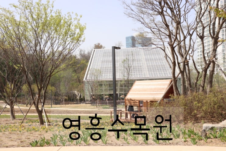  영흥수목원 임시개장 다녀왔어요 (주차/예약/운영시간/온실)