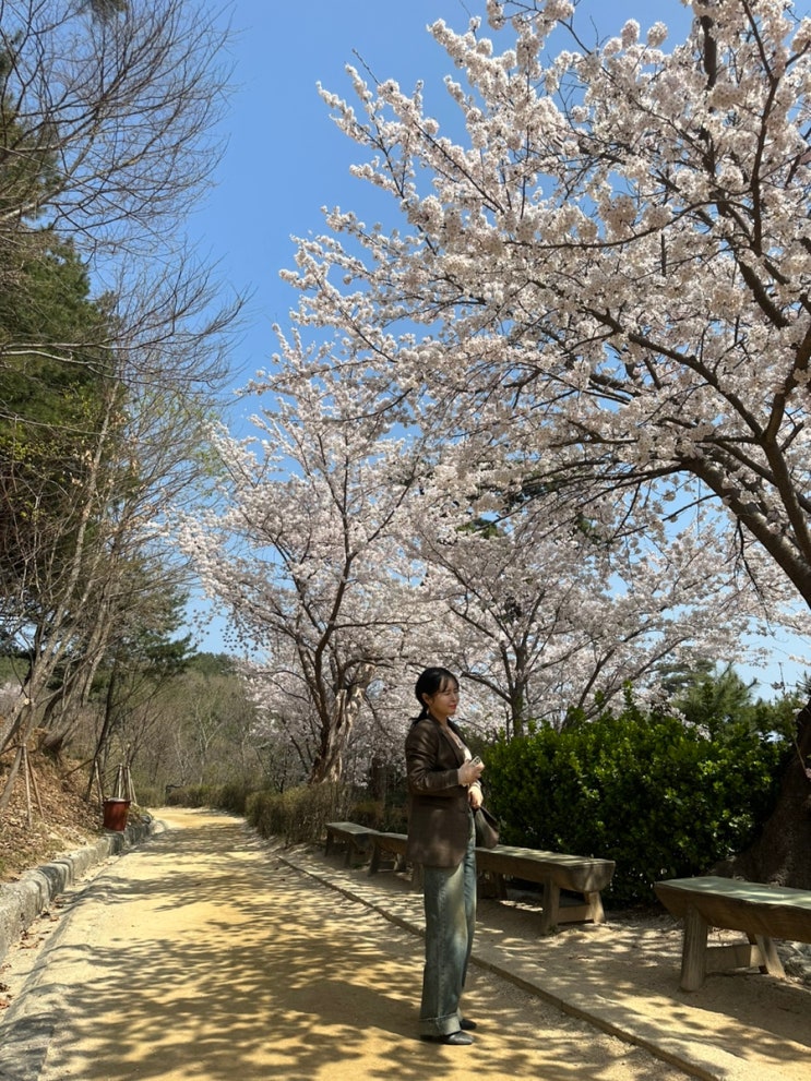  양양여행 낙산사 낙산해수욕장, 바다가 어우러진 예쁜 사찰포토스팟 가득