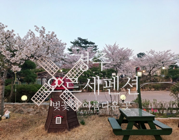  <경주펜션>벚꽃이 아름다운 여행가기좋은 오르세펜센 경주가족펜션