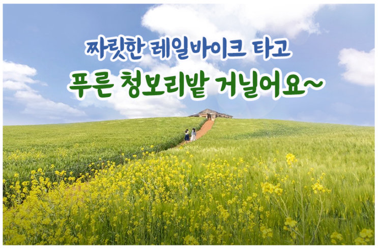 짜릿한 레일바이크 타고 푸른 청보리밭 거닐어요~ 짜릿한 레일바이크 타고 푸른 청보리밭 거닐어요~