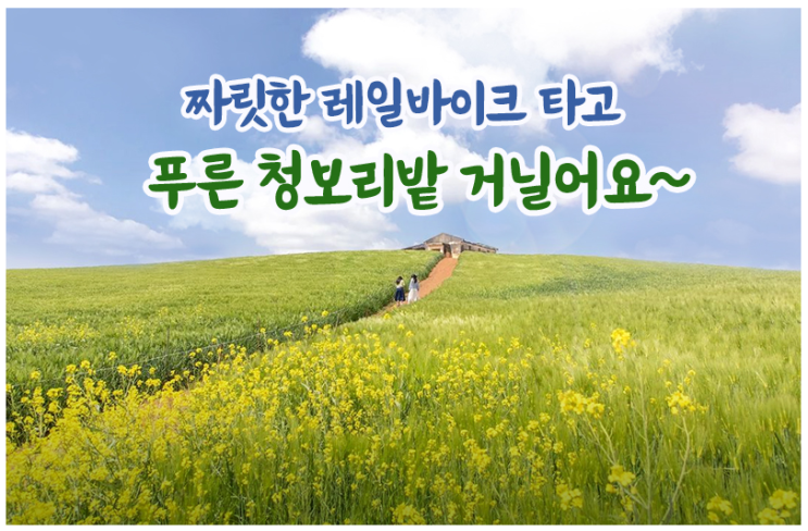 짜릿한 레일바이크 타고 푸른 청보리밭 거닐어요~