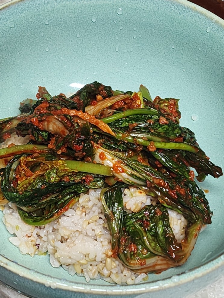  넘 맛있는 '정다운김치 열무얼갈이김치'