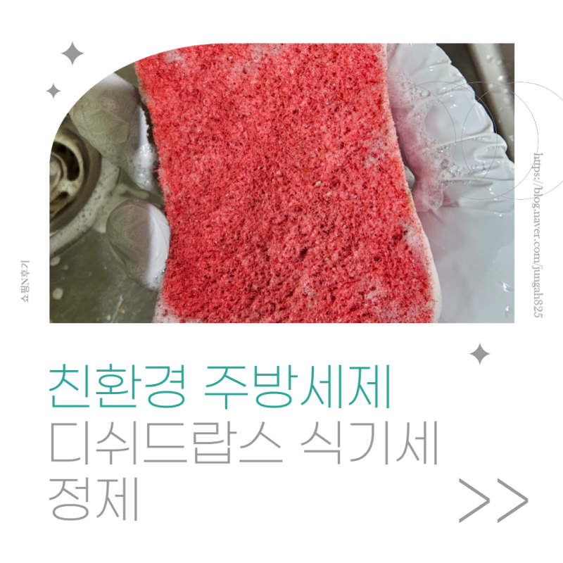 친환경 주방세제 추천 암웨이 디쉬드랍스 식기세정제