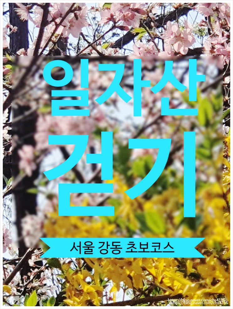  등산보다 트레킹에 가까운 서울 일자산 가족 나들이