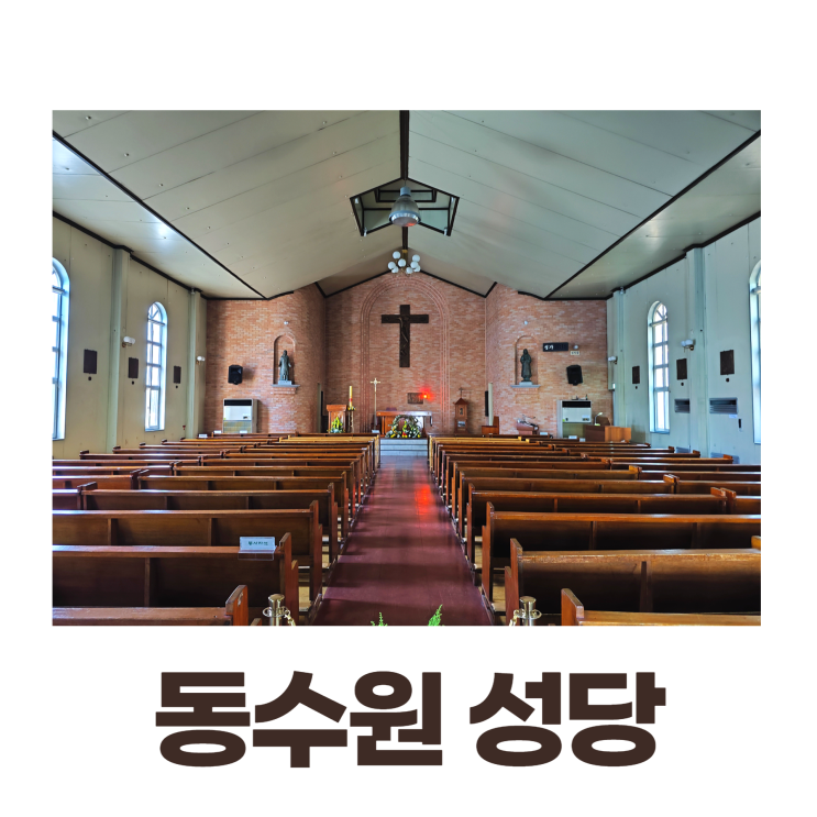 동수원성당 역사 (성 최형 베드로 성당) 벚꽃 동수원성당 역사 (성 최형 베드로 성당) 벚꽃