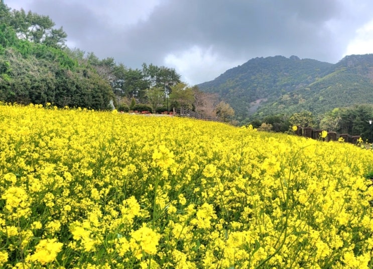  이것이 복음이다 설교강단의 주관적인 말 복음 아니다 철학자의 말 성인의 말 복음아니다 사고의 이성적교집합 복음아니다 예수님 말씀이 복음이고 영생이다. 유일한 길이다