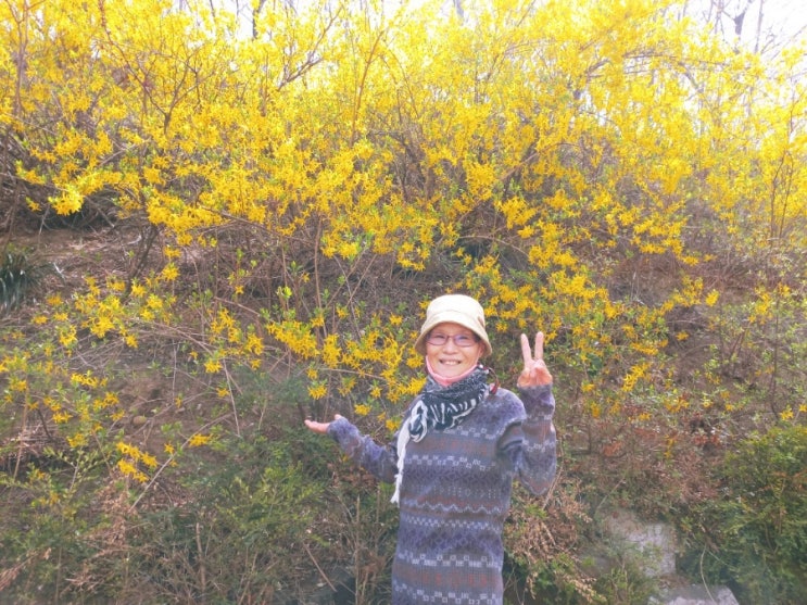  [난소암 4기] 엄마의 봄