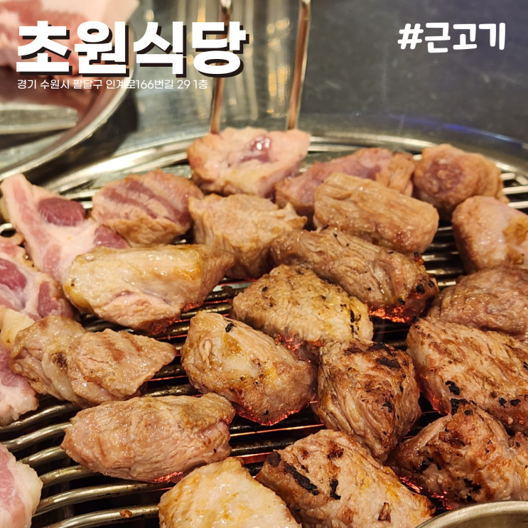  [수원/인계동] 된장찌개 비법 좀..! 직접 구워주시는 연탄구이 근고기 맛집 나혜석거리 초원식당