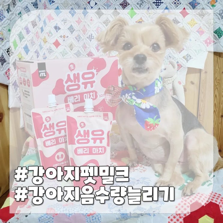  강아지 신장에 좋은 음식,강아지 우유 펫밀크로 음수량 챙겨요