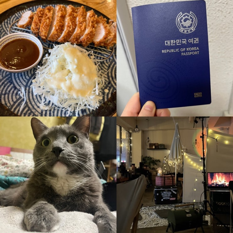  4월 1-2주 일상글.. 남기고 일본으로 떠나기️ 충주 그집쭈꾸미/청주 율량동 로스트씨/카마타케제면소